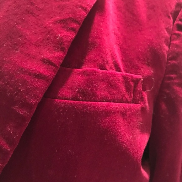 Velvet Blazer - Picture 4 of 8